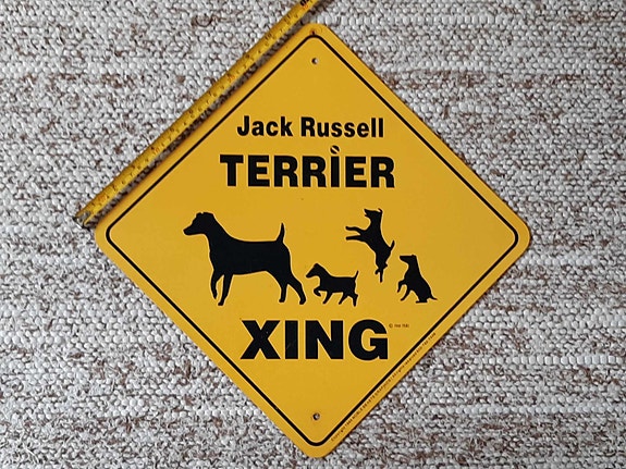 Jack Russell - terrieri peltinen kyltti pihalle