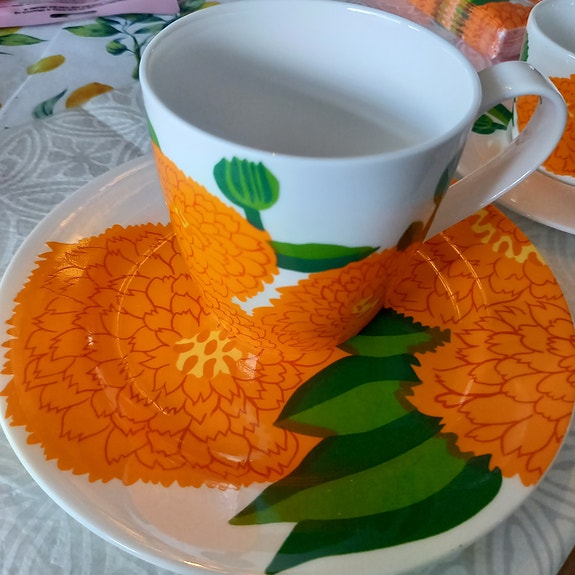 Iittala Primavera kahviastiasto