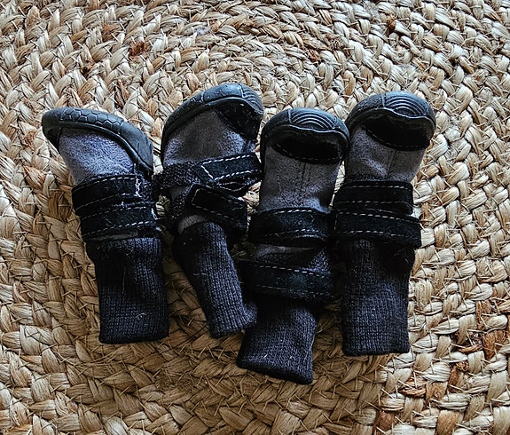 Pienen koiran tossut
