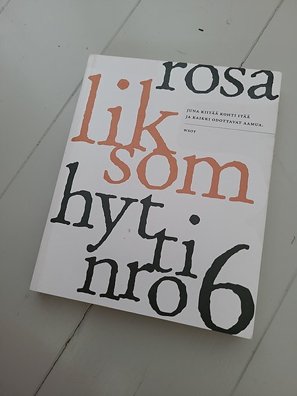 Rosa Liksom, Hytti nro 6
