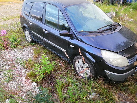 Renault megane scenic osina