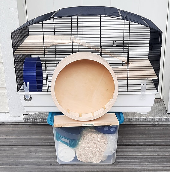 Hamsterin häkki