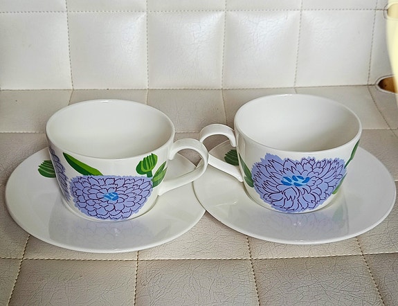 Iittala Marimekko Primavera kahvikuppisetti