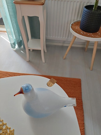 Oiva Toikan lintu, fyrklövernin kyyhky