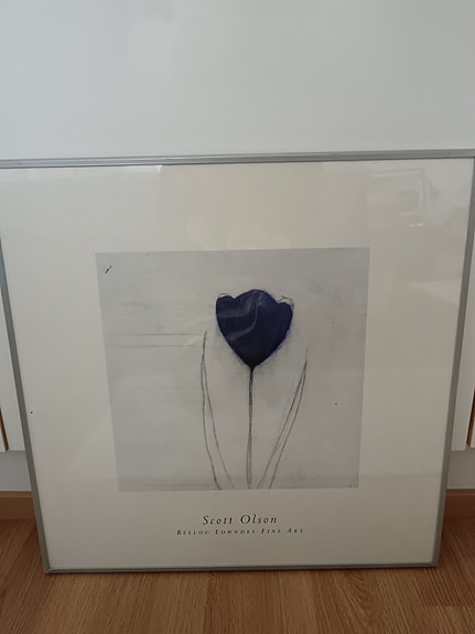 Scott Olson taulu, sininen tulppaani