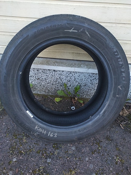 Kesärengas Dunlop 205 55 16
