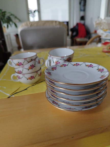 Lomonosov kuppi