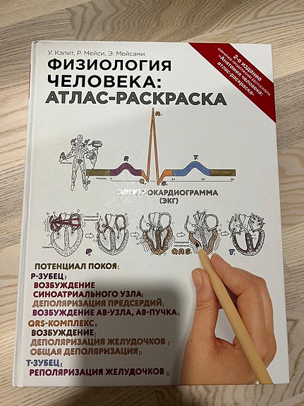 Ihmisen fysiologia venäjän kielellä