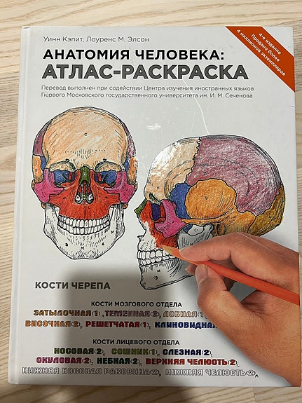 Ihmisen anatomia venäjän kielellä