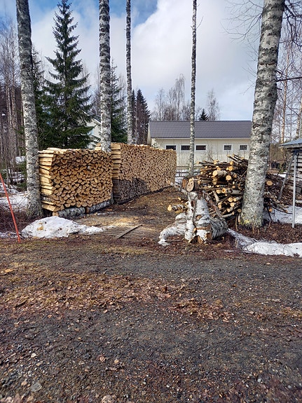 Kuivaa, metristä koivuhalkoa