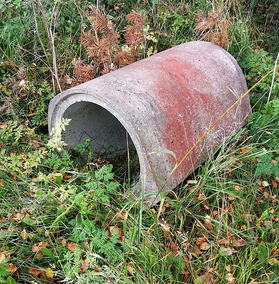 Oja-rumpu