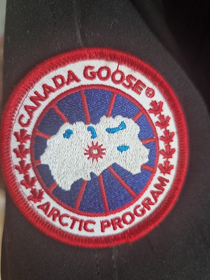 Canada goose bomber