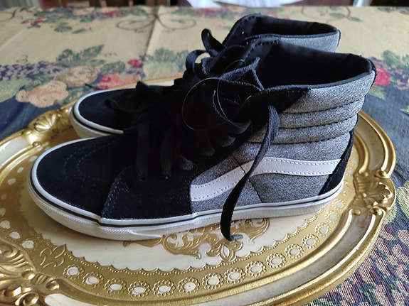 Vans skatetossut