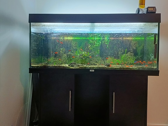 Akvaario 240 l