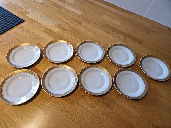 Puolalainen Cmielow lautanen 24cm 9kpl