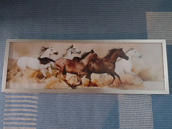 Hevos taulu
