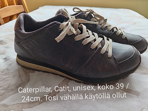 Caterpillar 39