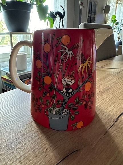 Muumi kaadin Pikku Myyn päivä