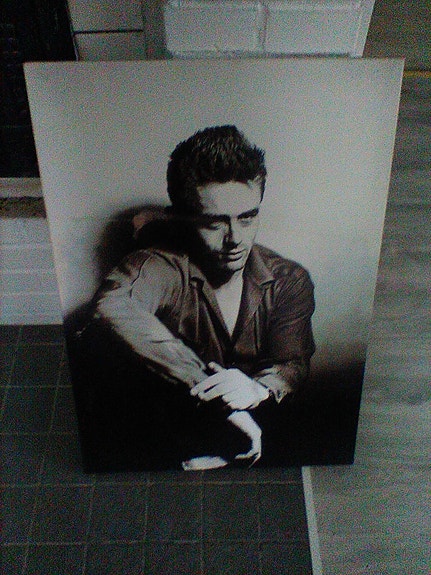 James Dean kuva taulu
