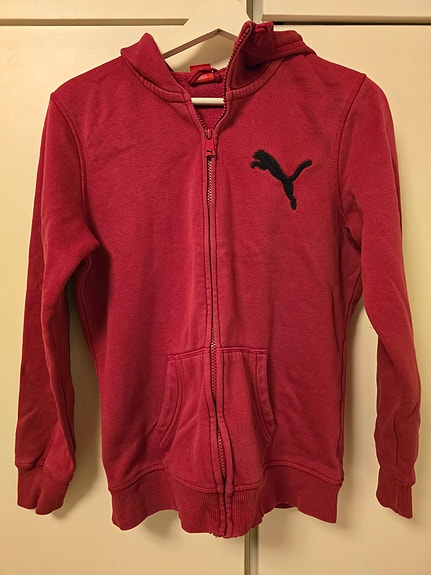 Puma huppari
