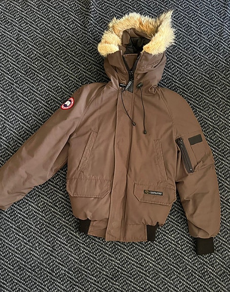 Canada goose chilliwack