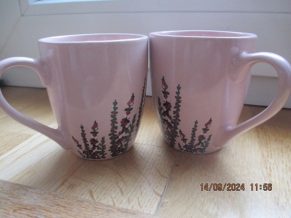 Product image 1 of 6