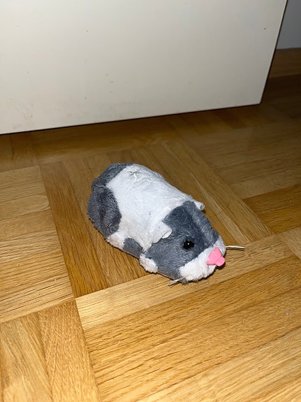 ZhuZhu Pets