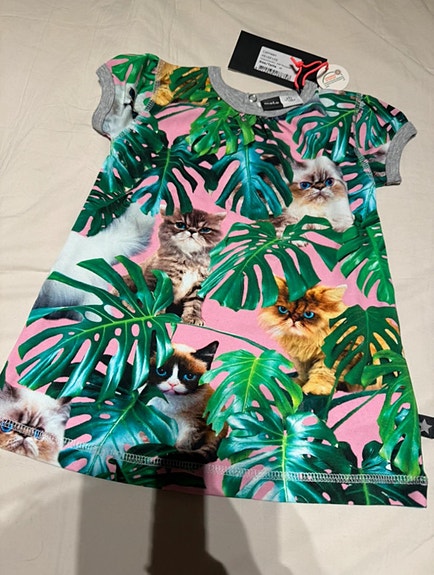Molo mekko