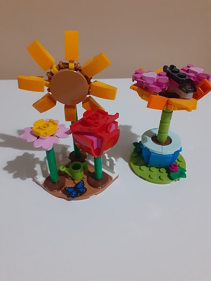 Legoja