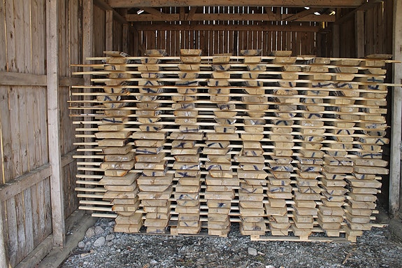 tuppeen sahattua koivulankkua