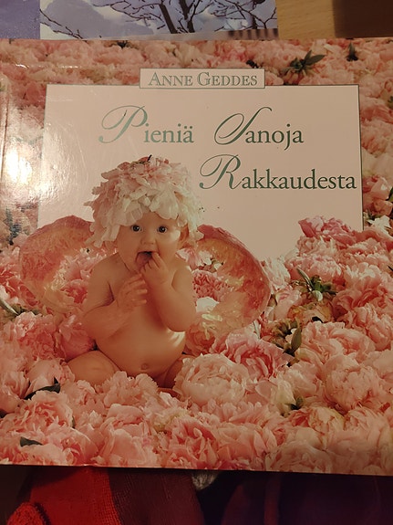 Pieniä sanoja rakkaudesta - kirja