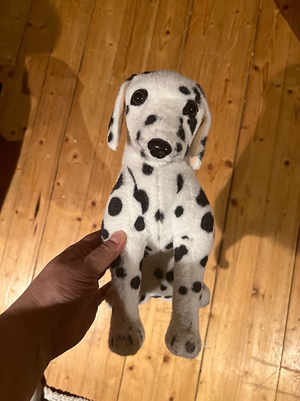 dalmatian pehmolelu koira