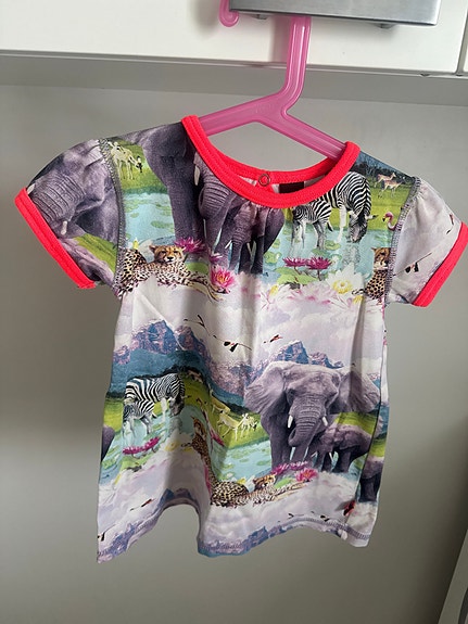 Molo mekko 86