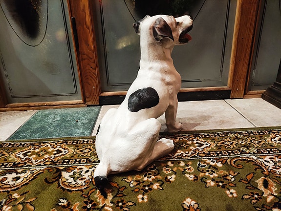 Patsaat: Jack Russell terrieri C143