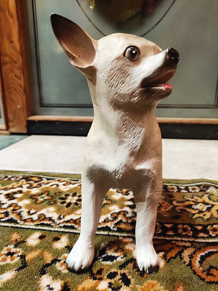 Patsaat: Chihuahua