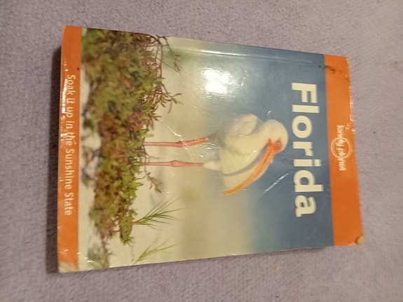 Lonely planet florida