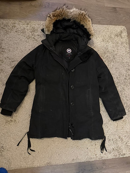 Canada goose S/P