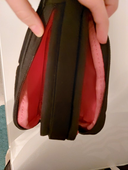 Nintendo DS pussi