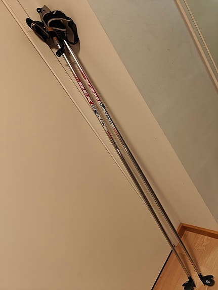 Rex Delta sauvat, 130cm