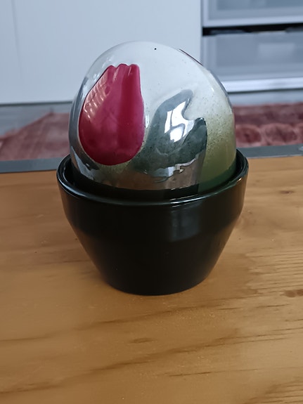 Ikikukka, punainen tulppaani, Arabia