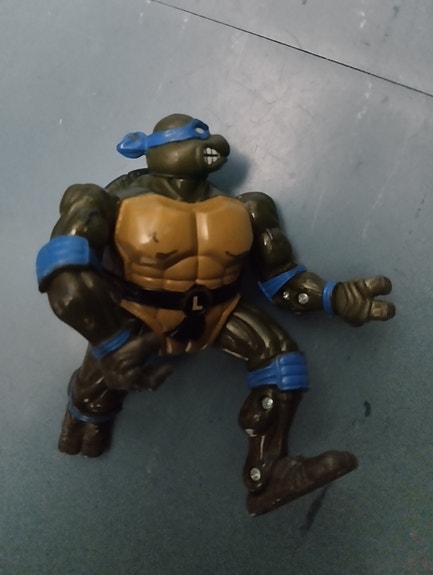Turtles leonardo