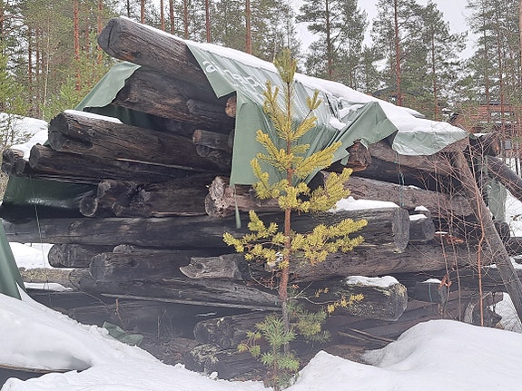 Vanhoja hirsiä