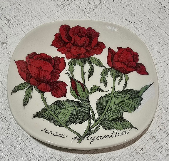 Arabia Esteri Tomula seinälautanen, Rosa Polyantha
