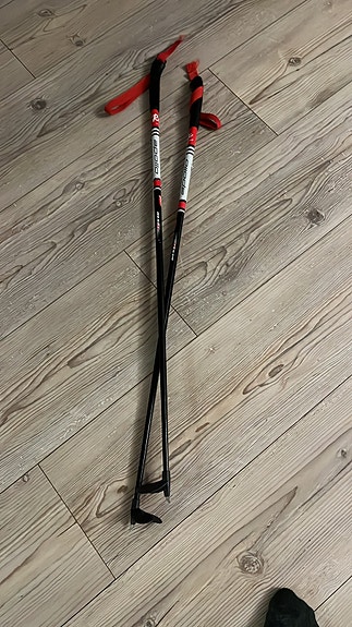 Rex sauvat 100cm