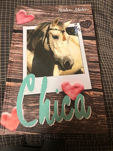 Chica Penny Girl-kirja