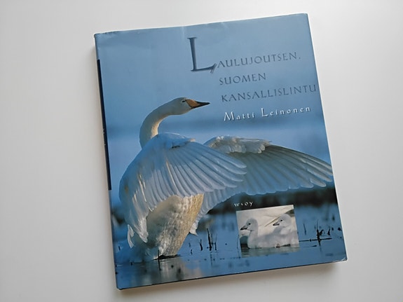 Laulujoutsen, Suomen kansallislintu, Matti Leinonen