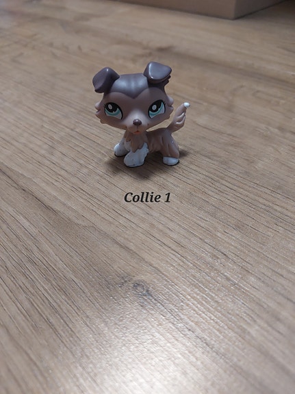 Lps ruskea Collie 1