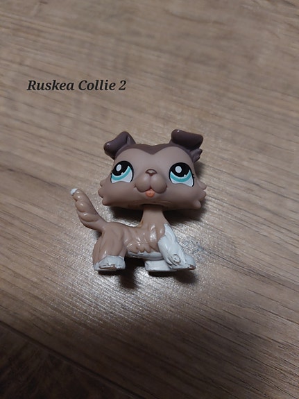 Lps ruskea Collie 2