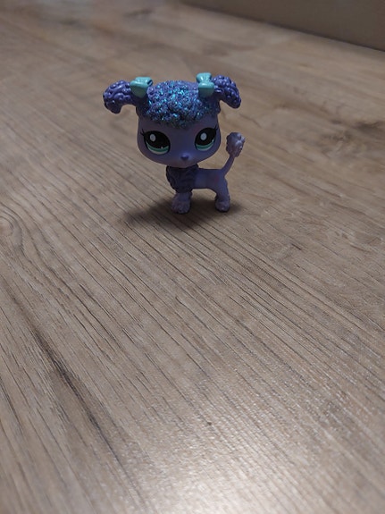 Lps puudeli koira 2