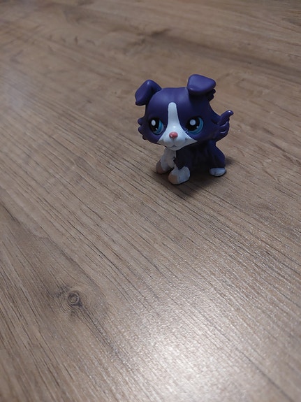 Lps Collie 2